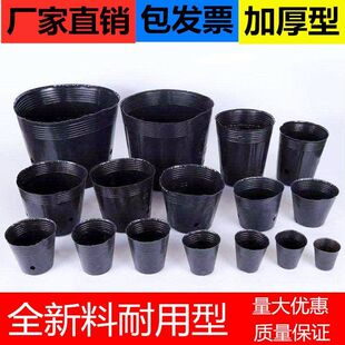 带孔营养杯樱桃营养袋苗绿植大口径矮花盆魔芋种植迷你特小一次性