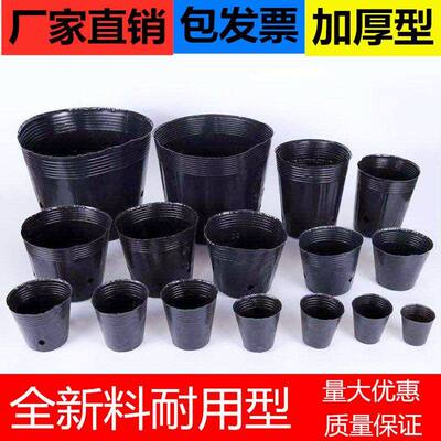 带孔营养杯樱桃营养袋苗绿植大口径矮花盆魔芋种植迷你特小一次性