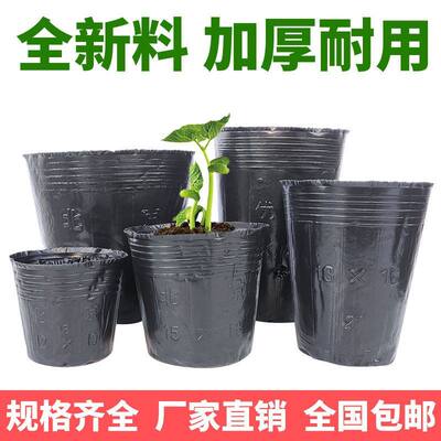 种子发芽杯扦插盒苗木菜苗育苗盘迷你育苗杯营养钵纸杯PE育苗钵播