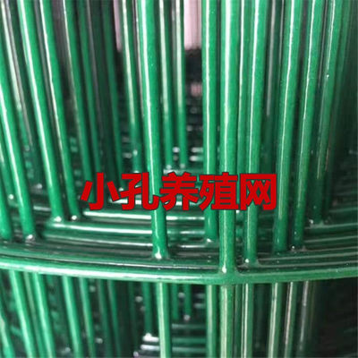 浸塑铁荷兰网狗厕所铁丝网防护网鸡笼专用山林果园围栏网院墙大格
