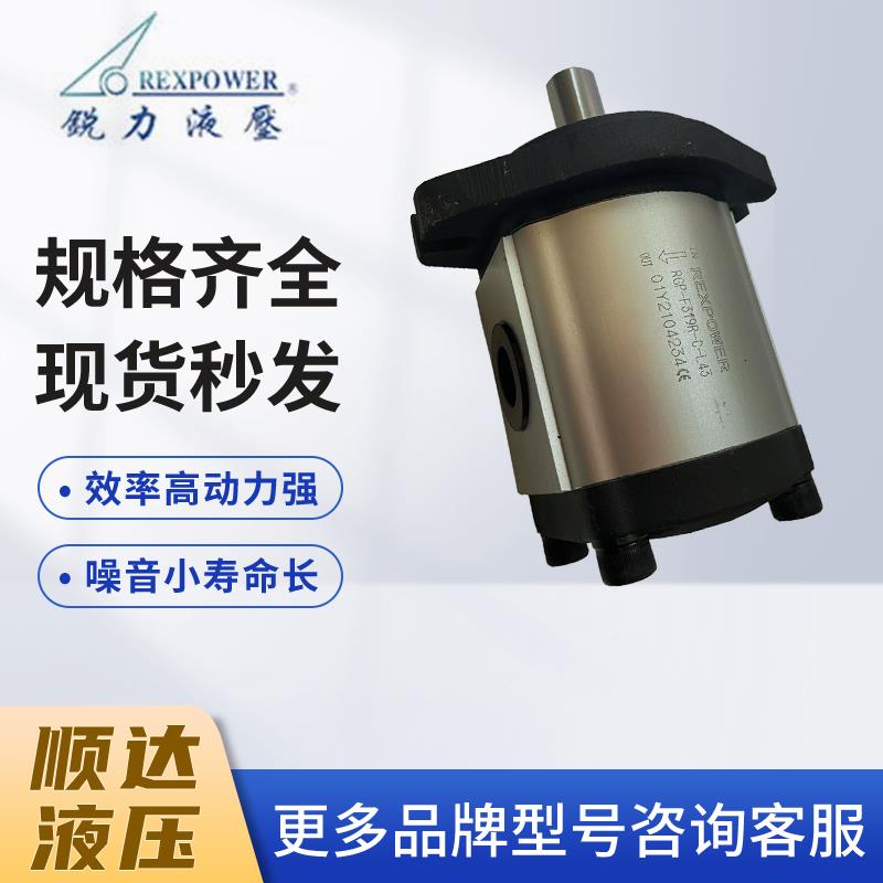 新款液压油泵REXPOWER液压泵RGP-F314R F316R F319R包邮