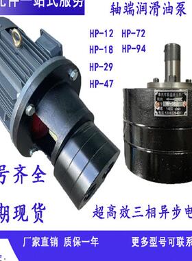 新款HP-29 47 18 SEW减速机轴端润滑油泵LU2 SHP齿轮油泵TYPE包邮