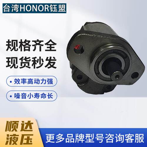 新款台湾HONOR钰盟齿轮泵1PM2P0SR 1PM2P01R 1PM2P13R 1PM2P3包邮