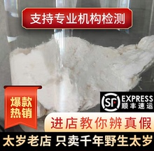 长白山千年太岁纯天然野生白肉石太岁活体泡水肉灵芝 太岁老店