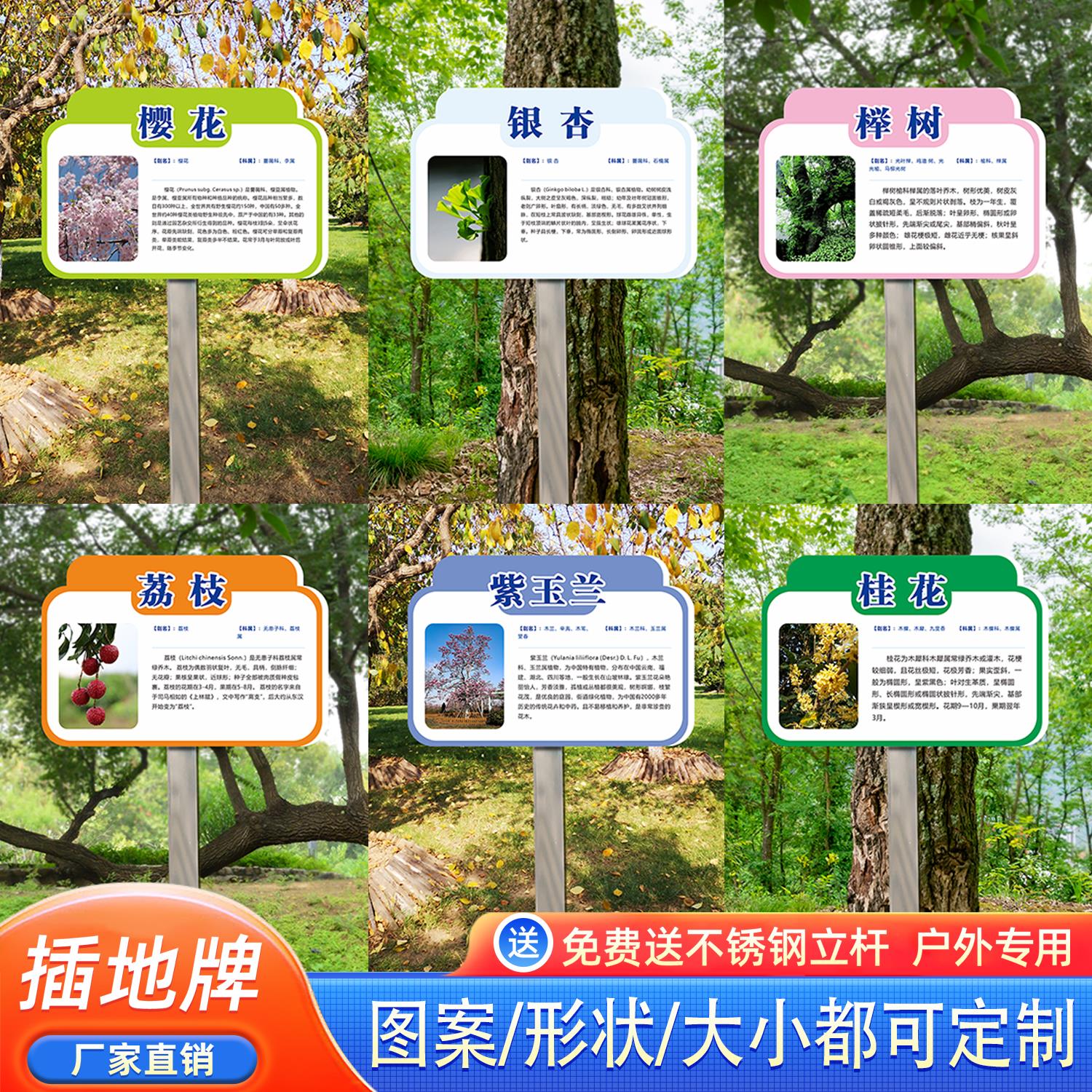 插地款树牌子学校公园不锈钢植物绿化信息牌树木介绍标识牌爱护花