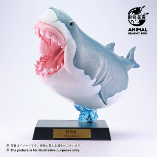 巨齿鲨 圆古生物主题模型手办系列 潮玩摆件 动物星球官方正版