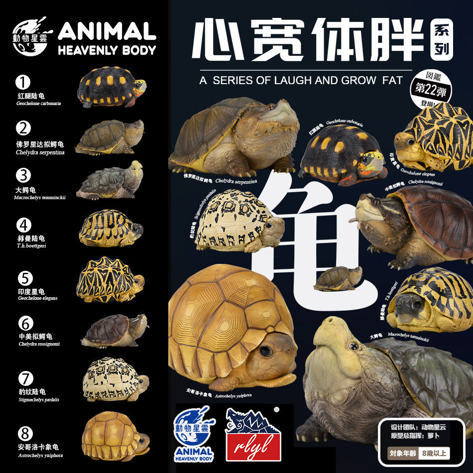 【现货 48小时发货】心宽体胖 龟 树脂模型手办动物星球