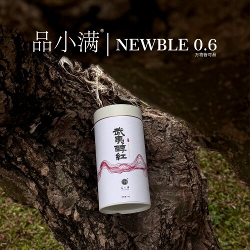 品小满·武夷醇红 红茶 一级 100g 罐装 轻奢 高颜值 下午茶
