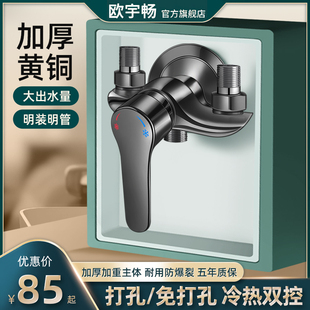 花洒冷热明管家用太阳能电热水器混合阀 混水阀淋浴水龙头黄铜明装