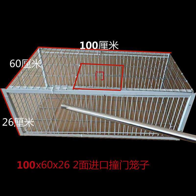 鸽子撞门笼信鸽赛用品撞门鸽笼铁笼只进不出跳笼天落笼撞门自动门
