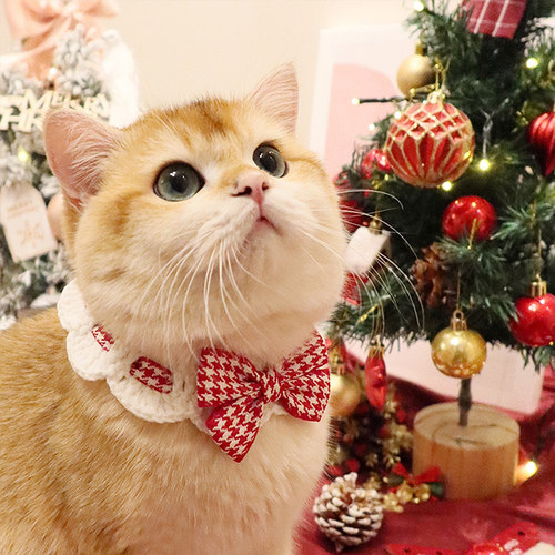 猫咪围脖领结宠物项圈围兜