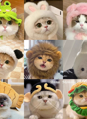 猫咪可爱搞怪变装帽宠物帽子金渐层英短德文狗狗汉堡头套卡通头饰