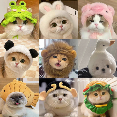 猫咪可爱搞怪变装帽宠物帽子金渐层英短德文狗狗汉堡头套卡通头饰