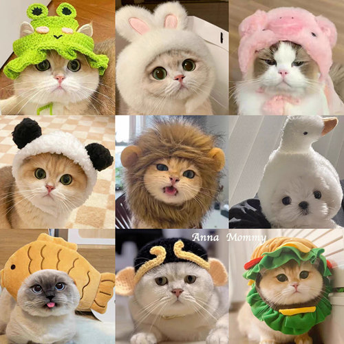 猫咪可爱搞怪变装帽宠物帽子金渐层英短德文狗狗汉堡头套卡通头饰