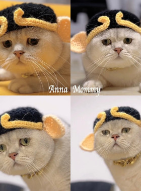 猪八戒宠物纯手工毛线针织帽子