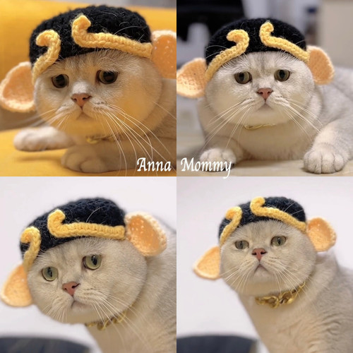 猪八戒宠物纯手工毛线针织帽子