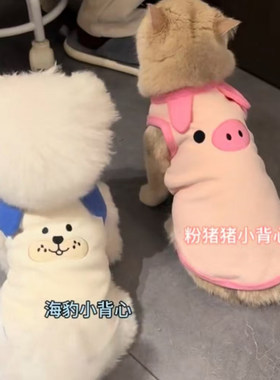 猫咪春夏秋防掉毛狗狗衣服