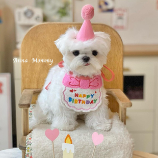 猫咪生日围脖宠物猫狗围兜帽子庆生装饰狗狗项圈泰迪比熊可爱脖套