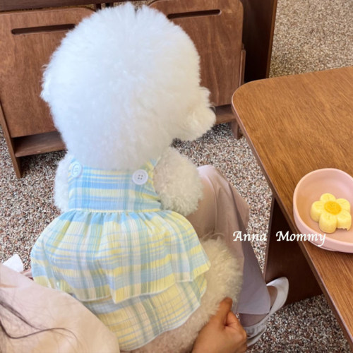 狗狗衣服背带连衣裙春夏宠物服装