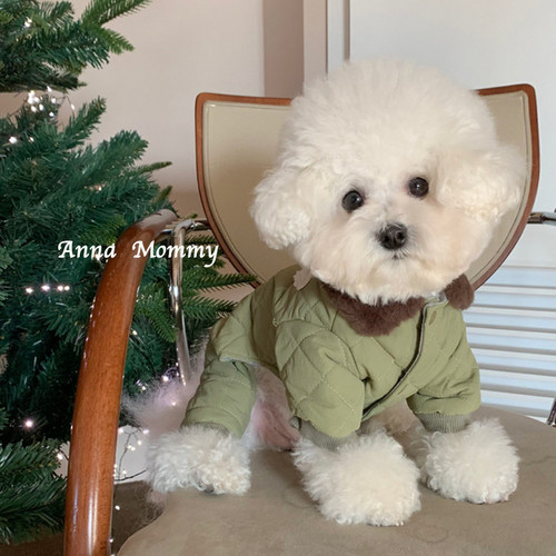宠物衣服狗狗服装棉衣秋冬加厚