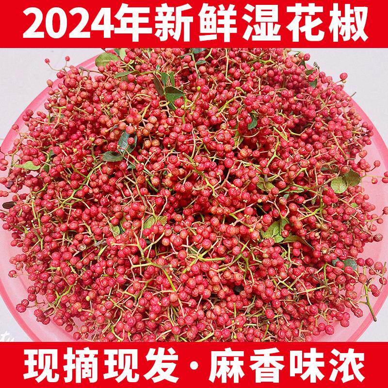 2024新鲜湿花椒陕西红花椒大红袍生花椒特麻香现摘现发嫩花椒1斤
