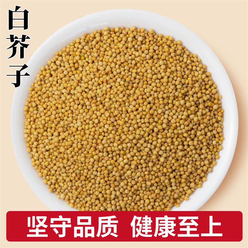 正宗新货白芥子中药材包邮新货精选白芥籽芥菜子白芥子粉可泡水