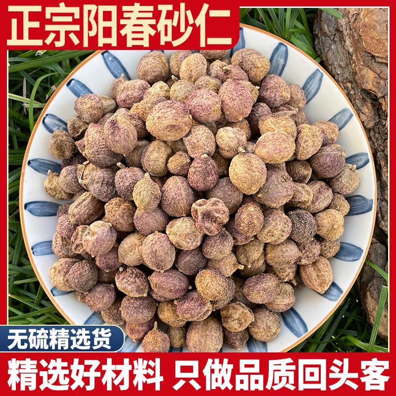 正宗阳春砂仁沙仁香砂仁粉砂仁果泡水砂仁茶毛砂仁非特级野生正品