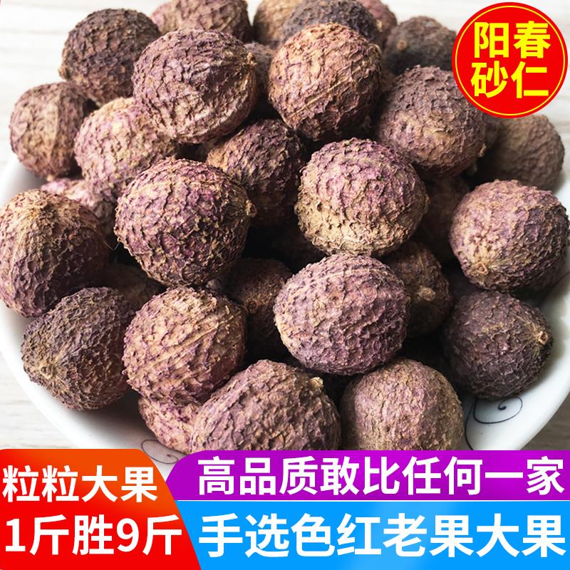 【色红老果大果】正宗阳春春砂仁沙仁阳春特产野生广东砂仁中药材