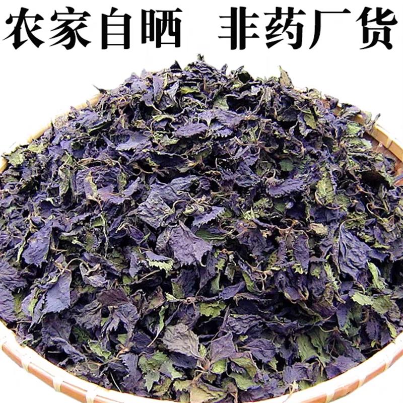 农家自晒紫苏叶中药材精选紫苏叶干货香料无硫可食用泡茶水无粗杆
