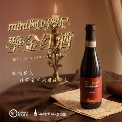 意酒集 意大利原瓶进口mini阿玛罗尼红酒鎏金礼盒375ml节日送礼