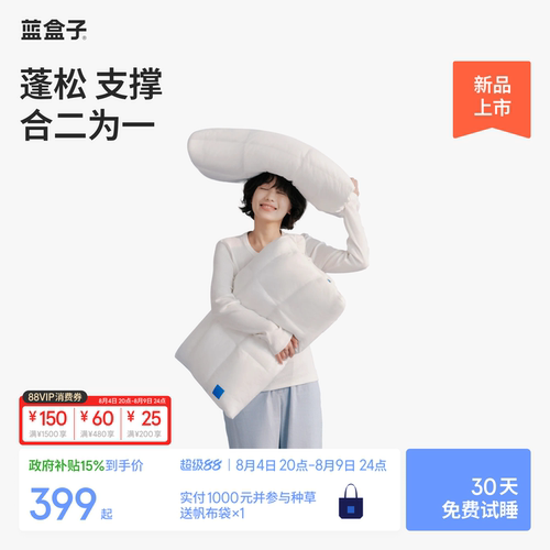 蓝盒子枕中枕N3枕头护颈椎可调节记忆棉枕头枕芯一对成人专用礼物
