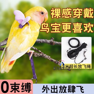 鹦鹉外出牵引绳放飞绳安全牡丹不伤脚遛鸟专用小太阳户外背带飞行