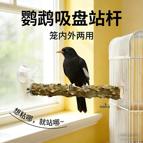 鹦鹉吸盘站架八哥专用鸟花椒木站杆窗户磨爪站棒笼子玻璃鸟车载