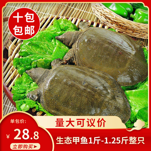 生态甲鱼1斤-1.25斤整只网红秘制甲鱼加热即食麻辣私房菜预制菜