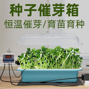 种子催芽保温箱微型发芽机恒温智能种菜玉米植物蔬菜育苗育芽专用