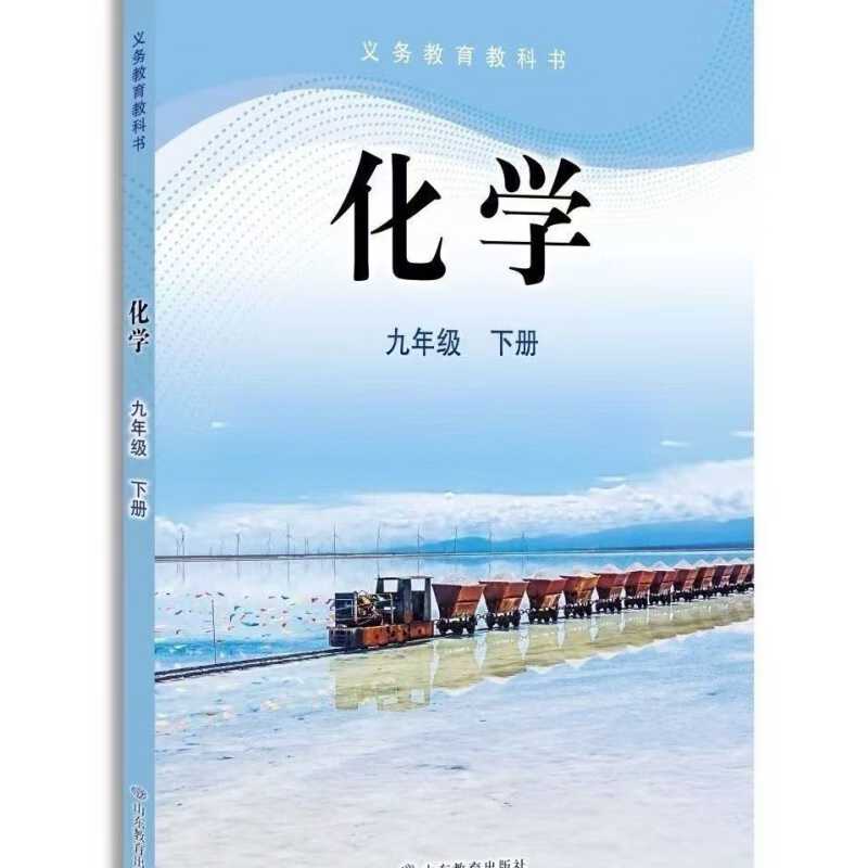 新华书店正版全新速发  2025版义务教育教科书九年级下册化学