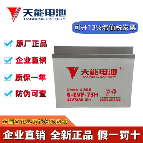 天能电池6-EVF-73H73A电动四轮车