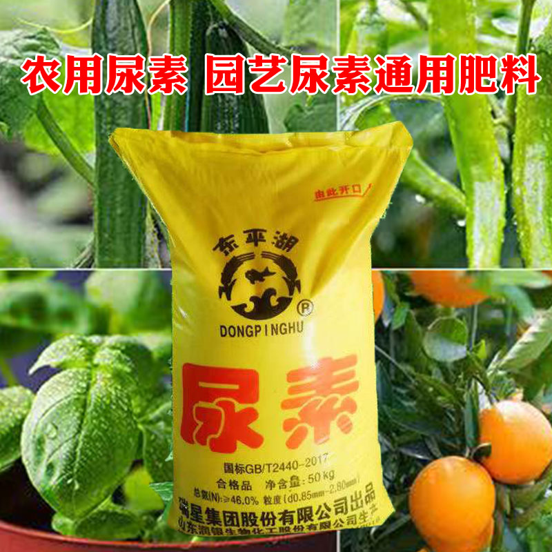 尿素复合肥通用型氮肥尿素肥料