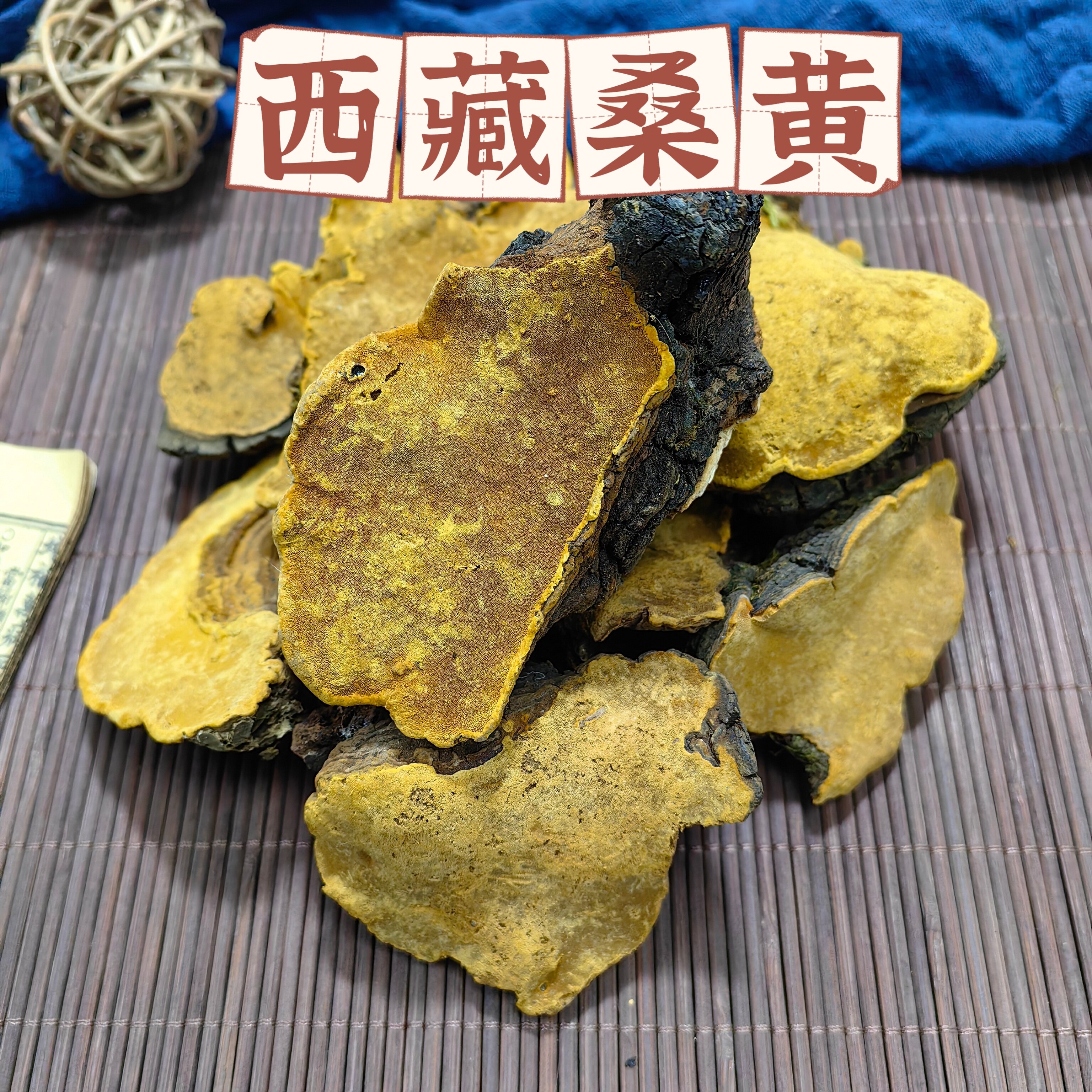 西藏野生特级桑树桑黄灵芝煮茶