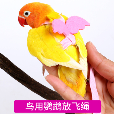 天使翅膀外出背带遛鸟绳遛鸟神器小宠鹦鹉飞行绳超轻牵引绳放飞绳