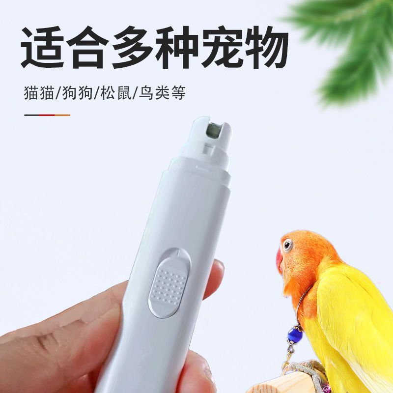 鹦鹉专用磨甲器磨嘴器磨嘴器鸟用指甲刀小宠电动玄凤虎皮牡丹指甲