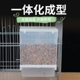 Плоховая прозрачная подача птиц-попугай