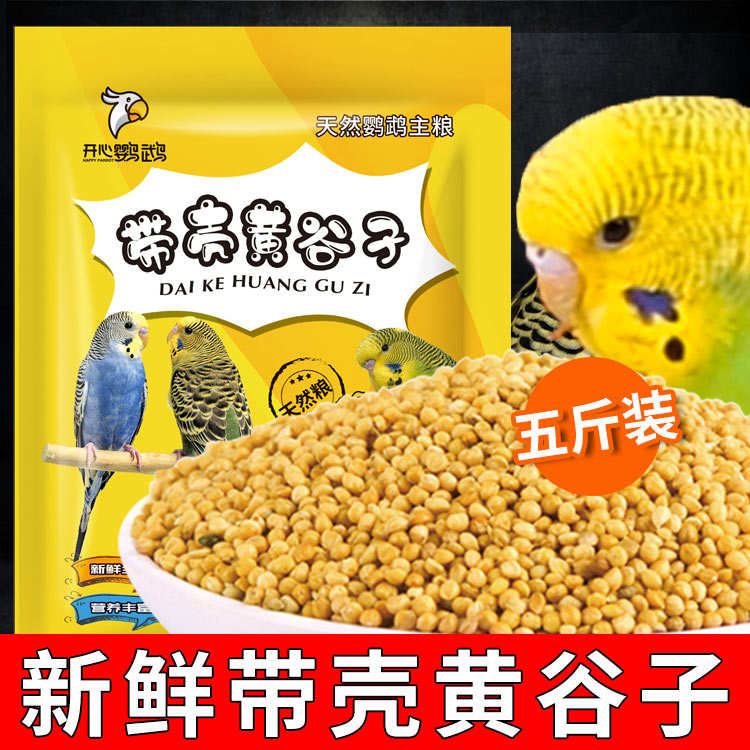 新带壳小米谷子中小型食物鹦鹉