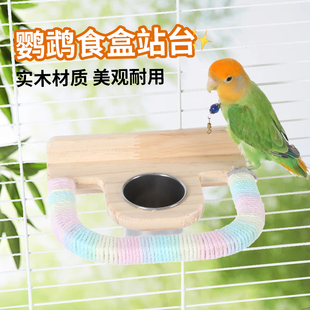 鹦鹉站架食盒食盆不锈钢喂食器实木加厚站架造景布景宠物用品