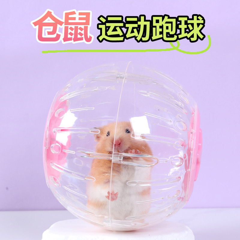仓鼠超大静音跑球滚轮运动球金丝熊用品跑步球滚球解闷玩具