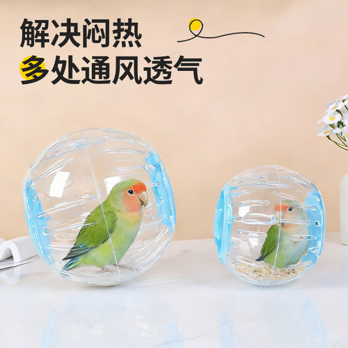 鹦鹉跑球玩具小鸟跑轮虎皮牡丹解闷自嗨跑步机玄风八哥运动遛鸟用