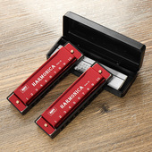 布鲁斯口吹琴学生10孔小型初学者新手吹奏 口琴AB1s751