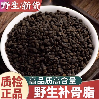 补骨脂500g克新货野生补骨脂粉破故纸 补骨脂 黑故子婆固脂中药材