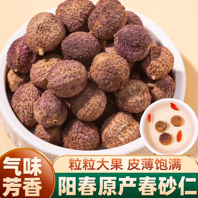 砂仁正宗阳春特产中药材野生沙果仁的功效正品旗舰店阳春砂仁批发