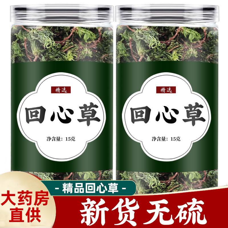 回心草中药材正品云南茴芯草大叶藓铁脚一把伞非野生茴薪草泡水喝